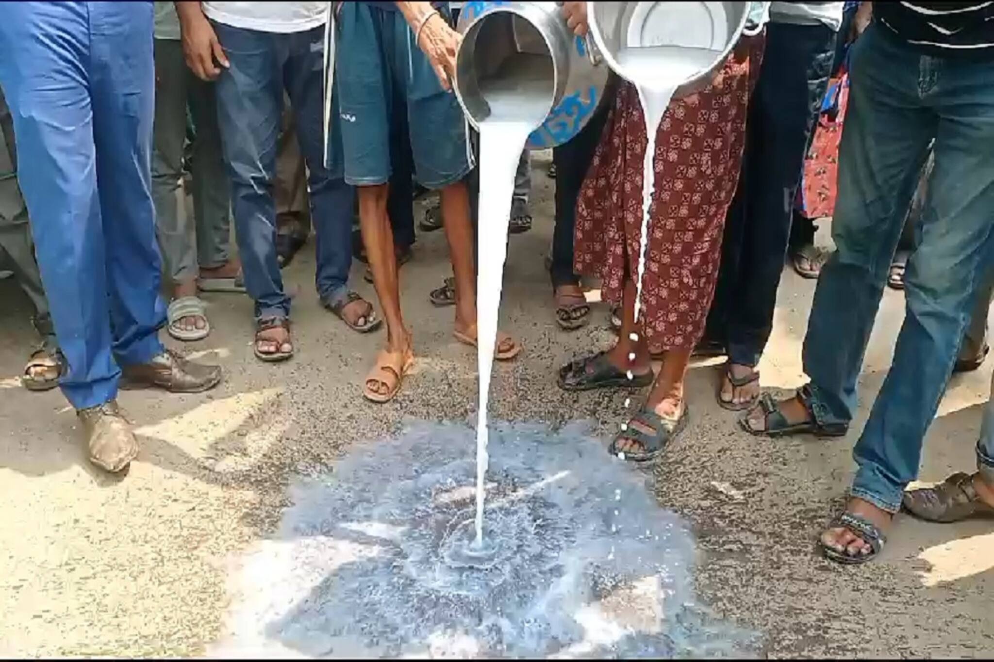 লিটার লিটার দুধ ফেলে দেওয়া হচ্ছে রাস্তায়! বন্ধ দুধ বিক্রি! সামনে এল বড় খবর