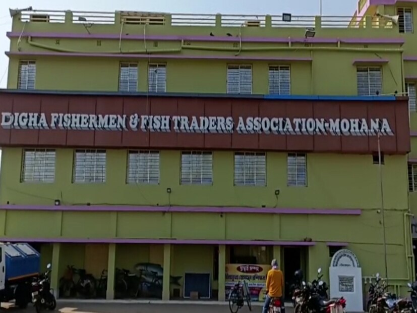 দানব আকৃতির কই ভোলা মাছের বাংলাদেশ সহ বিভিন্ন বিদেশের বাজারে যথেষ্ট চাহিদা রয়েছে। ফলে নিলামে দাম ওঠে চড়চড়িয়ে।