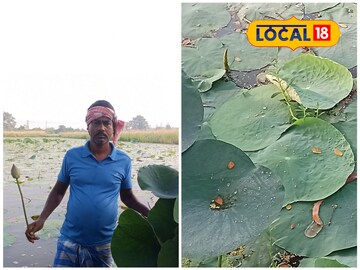 পদ্ম