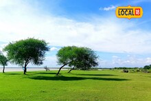 নদীর কোলে সবুজ চরে সময় কাটাতে চান,পুজোর ছুটিতে ঢুঁ মারতে পারেন বেনাপুর চরে
