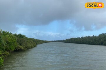 মেঘলা