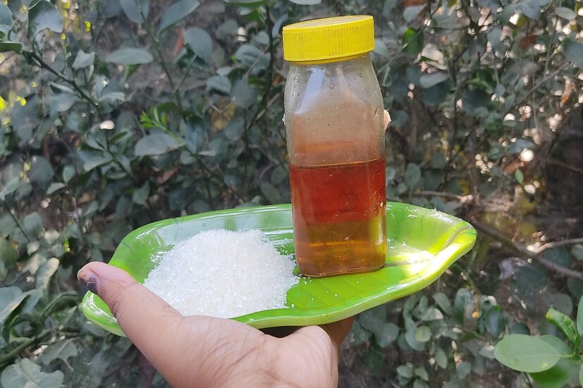 হঠাৎ করে অনেকটা ওজন বাড়লে বা কমলে ত্বকে স্ট্রেচ মার্ক পড়ে। প্রেগনেন্সির পরেও পেটে বা থাইয়ে এমন ফাটা ফাটা দাগ দেখা যায়। এই সময় কফি ,চিনি ,আমন্ড তেল ও মধু মিশিয়ে পেটে মালিশ করলে স্ট্রেট মার্ক হালকা হয়ে যাবে।