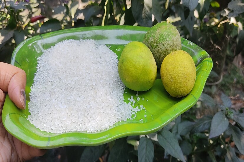 কয়েক ফোটা লেবুর রসের সঙ্গে চিনি মিশিয়ে মুখে লাগান। ১৫ মিনিট পর জল দিয়ে ধুয়ে ফেলুন তবে ধোয়ার আগে স্ক্রাব করে নিতে পারেন। সপ্তাহে একদিন এই প্যাকটি মুখে লাগালে মুখের দাগ ছোপ দূর হবে।