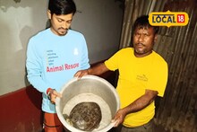 নদী থেকে সোজা বাড়ির ভেতর উঠে এল ওটা কী! সচক্ষে দেখতে ভিড় জমাল গোটা এলাকা