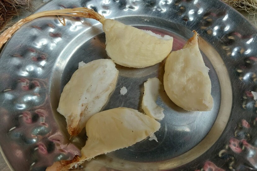 লক্ষ্মী দেবীর প্রিয় ফলের মধ্যে তাল আঁটির শাঁসও খুব প্রিয়।তাই পুজোয় লক্ষ্মী দেবীকে প্রসাদ হিসেবে তাল আঁটির শাঁস অর্পণ করতে পারেন।