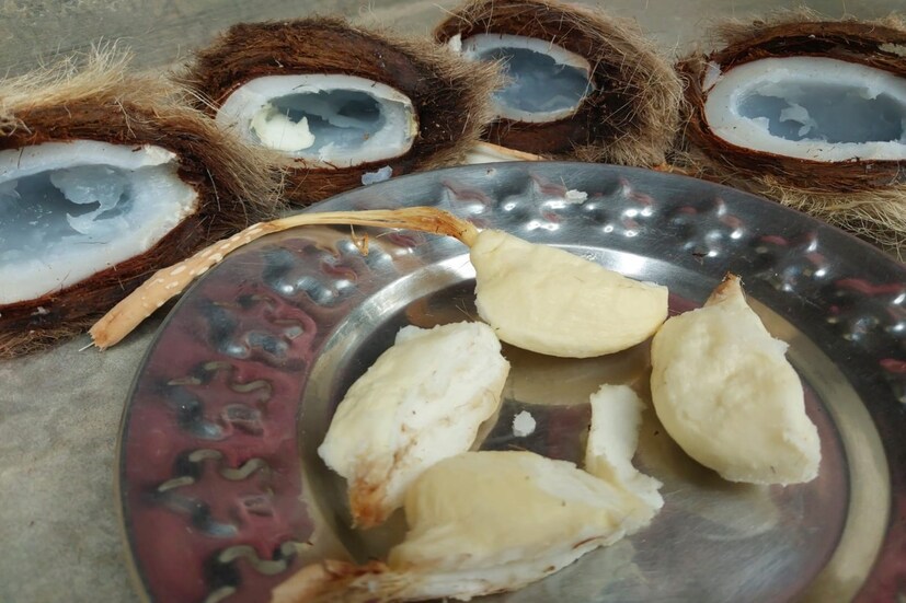 বাড়ির শুভ কল্যাণের জন্য মা লক্ষ্মীর সকলে পুজো করেন। তাই মা কে তুষ্ট করতে লক্ষ্মী দেবীর পছন্দের জিনিসগুলোর পাশাপাশি তাল আঁটির শাঁস অর্পণ করা হয়।