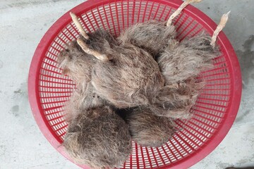 মা লক্ষ্মীর অত্যন্ত প্রিয়, ধনদেবীর আরাধনায় এই প্রসাদ নিবেদন করেছেন? দেখে নিন