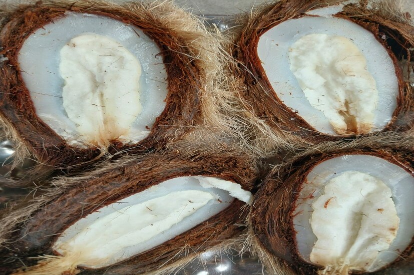 বেশিরভাগ বাড়ির লক্ষ্মী পুজোতে ভোগ নিবেদনের পাশাপাশি তাল আঁটির শাঁস দেবীকে অর্পণ করা হয়।