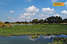 বাঁধ কেটে মুক্ত করা হল অঞ্জনা নদীকে! মিশে গেল জলঙ্গিতে