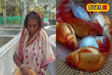 রঙিন