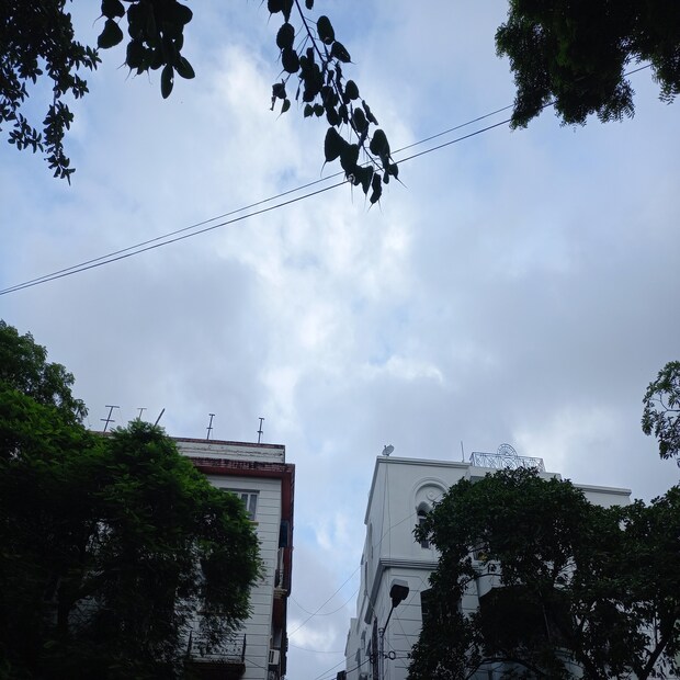 উত্তরবঙ্গে দার্জিলিং-কালিম্পং, আলিপুরদুয়ার, কোচবিহার, জলপাইগুড়ি এই পাঁচ জেলায় আগামী ২৪ ঘণ্টায় হালকা বৃষ্টির সম্ভাবনা। বৃহস্পতিবারের পর থেকে উত্তরবঙ্গে বৃষ্টির পরিমাণ অনেকটা কমে যাবে। ছিটেফোঁটা বৃষ্টি চলতে পারে। (রিপোর্টার-- বিশ্বজিৎ সাহা)