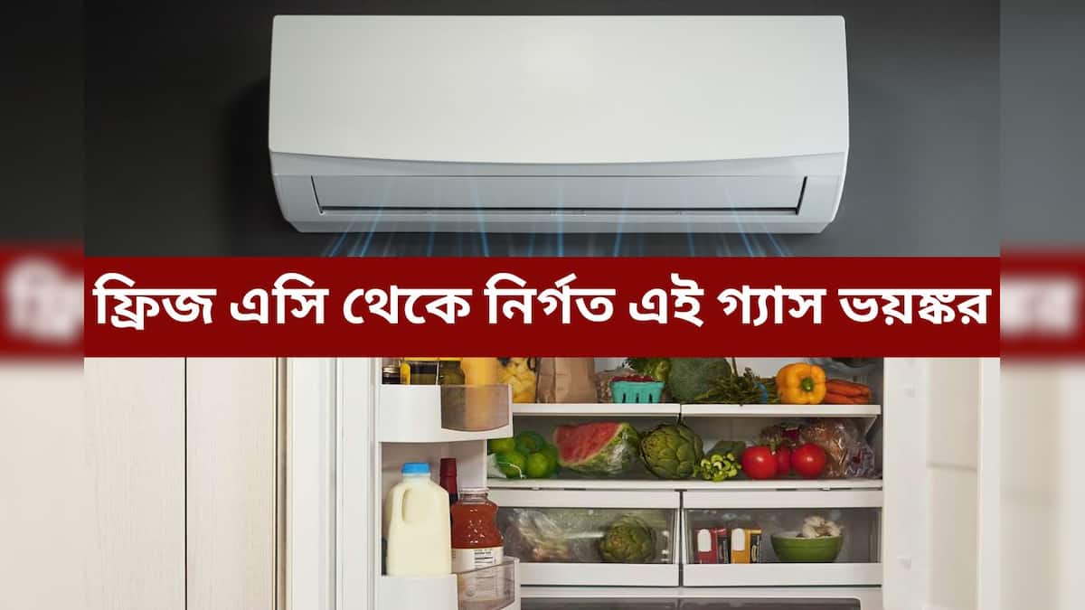 Dangerous gases from ACFridge ঠান্ডার সুখ ডেকে আনছে অসুখ! ফ্রিজ এসি