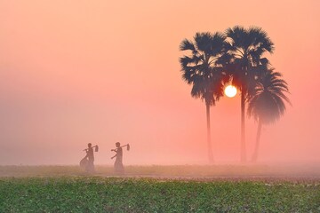 হাওয়ায় শীতের গন্ধ, গায়ে শিরশিরানি! এই সব জেলায় পারদ নামল ২০ ডিগ্রির নীচে হাওয়ায় শীতের গন্ধ, গায়ে শিরশিরানি! এই সব জেলায় পারদ নামল ২০ ডিগ্রির নীচে