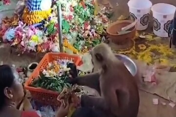 সামনে