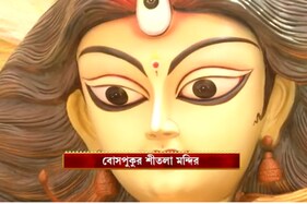 Durga Puja 2023: ফের সকলকে চমকে দিল বোসপুকুর শীতলা মন্দিরের থিম, দেখুন ভিডিও