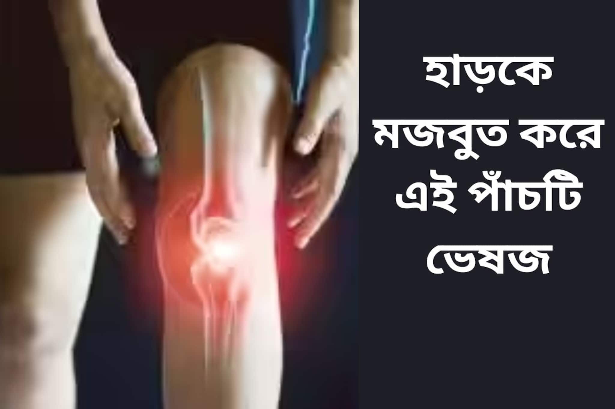 মজবুত হবে হাড়, সঙ্গী করুন এই পাঁচ ভেষজকে! পরামর্শ দিলেন আয়ুর্বেদাচার্য