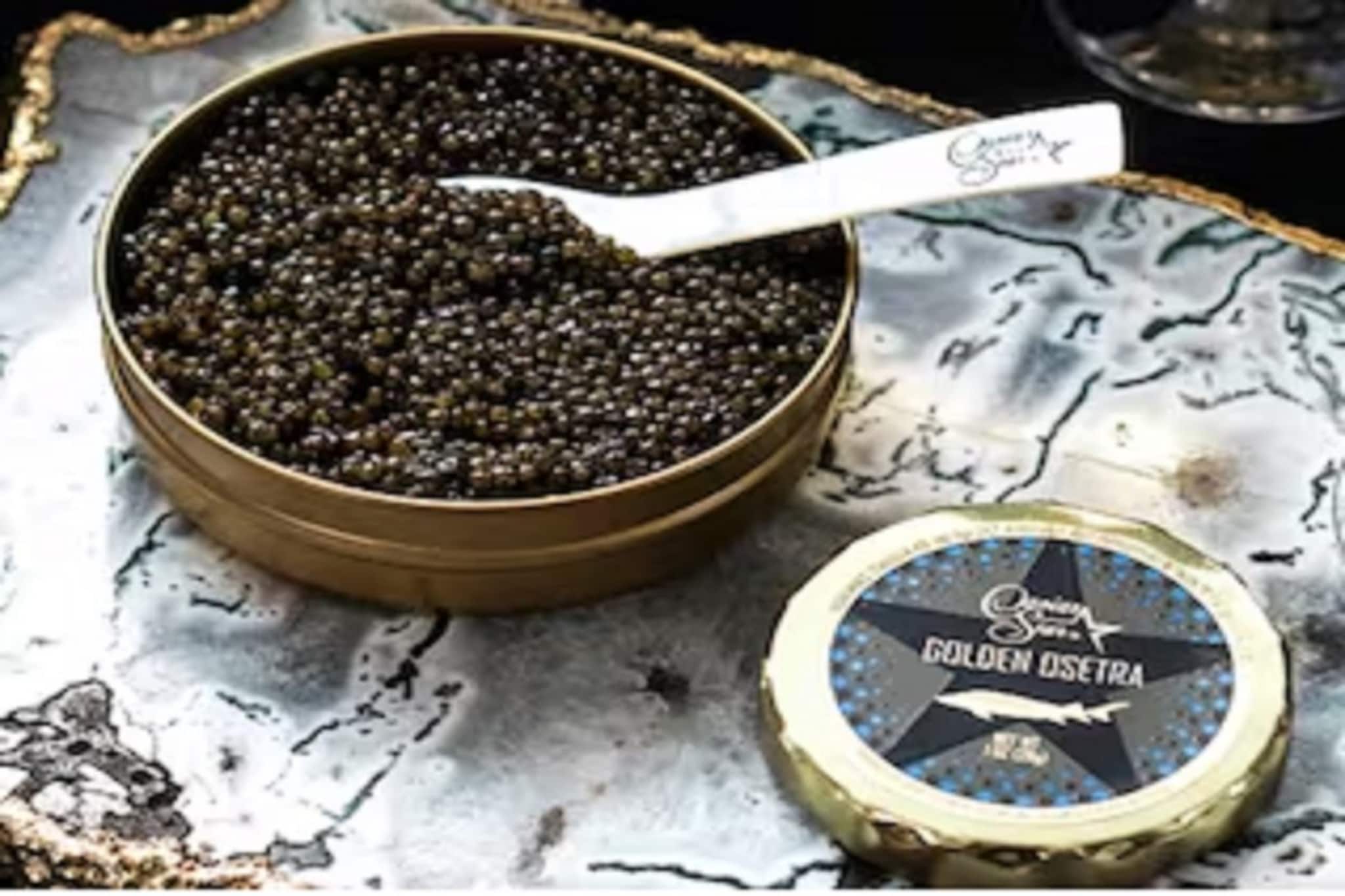 Caviar: এক প্রাণীর সন্তান সম্ভাবনাকে নষ্ট করে তৈরি হয় জনপ্রিয় এই খাবার; তবে এক প্লেটের যা দাম, তাতে একটা বাড়ি কেনা হয়ে যাবে!