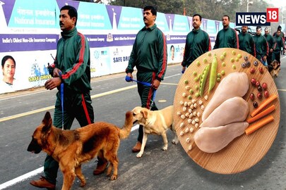 কলকাতা পুলিশের কুকুরদের রাজকীয় খাদ‍্যতালিকায় কী কী থাকে?