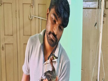 প্রতিবারের মত এবারও এক দারুণ কাজ করলেন অর্ণব