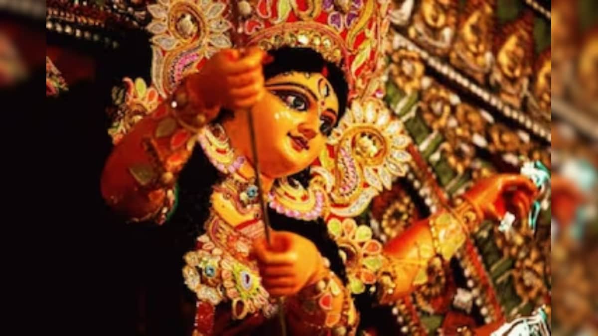 Durga Puja 2023:  নেদারল্যান্ডের জমজমাট দুর্গাপুজো, রইল ভিডিও