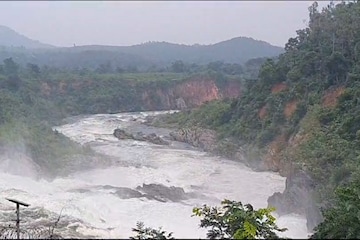 ভেসে