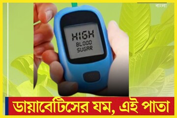 ডায়াবেটিসে বিশাল ম্যাজিক! রোজ ৪টি পাতা চেবালেই বাজিমাত, পালাবার পথ পাবেনা সুগার