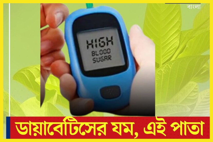 ডায়াবেটিস অর্থাৎ রক্তে শর্করার পরিমাণ হু হু করে বাড়ছে, দিনের পর দিন দেশের বহু মানুষ ব্লাডসুগারে আক্রান্ত ৷ প্রতীকী ছবি ৷