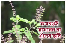 তুলসী গাছের কাছে কখনওই রাখবেন না এঁদের ছবি! ঘোর অমঙ্গল নেমে আসবে সংসারে