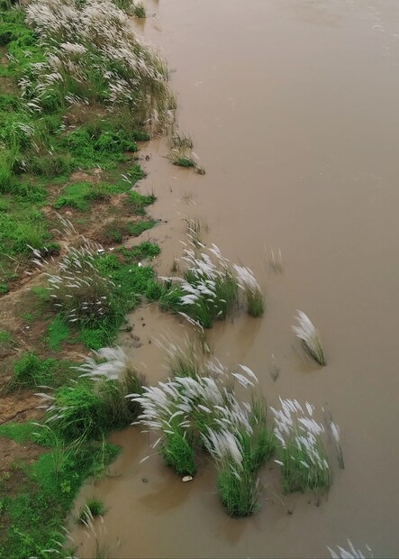 কলকাতায় মেঘমুক্ত পরিষ্কার আকাশ। আর্দ্রতাজনিত অস্বস্তি সামান্য থাকবে। বাতাসে জলীয় বাষ্পের পরিমাণ ক্রমশ কমবে। আগামী দু’দিন আর্দ্রতাজনিত অস্বস্তি থাকলেও ধীরে ধীরে কমবে। বৃষ্টির সম্ভাবনা আপাতত নেই। কলকাতায় সকালে সর্বনিম্ন তাপমাত্রা ছিল ২৭.৩ ডিগ্রি সেলসিয়াস। যা স্বাভাবিকের তুলনায় ৩ ডিগ্রি সেলসিয়াস বেশি। গতকাল, বৃহস্পতিবার বিকেলে সর্বোচ্চ তাপমাত্রা ছিল ৩৪ ডিগ্রি সেলসিয়াস। স্বাভাবিকের তুলনায় যা ১ ডিগ্রি সেলসিয়াস বেশি। বাতাসের জলীয় বাষ্পের পরিমাণ ৫০ থেকে ৯৪ শতাংশ। আগামী ২৪ ঘণ্টায় কলকাতা শহরে তাপমাত্রা থাকবে ২৭ ডিগ্রি সেলসিয়াস থেকে ৩৪ ডিগ্রি সেলসিয়াসের মধ্যে। 