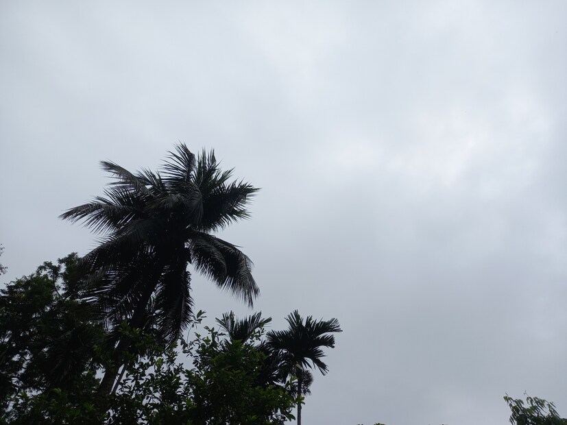 এদিকে ১৭ এবং ১৮ অক্টোবর উত্তরের তিনটি জেলায় হালকা বৃষ্টির সম্ভাবনা থাকলেও বৃষ্টিপাতের তেমন কোনও পূর্বাভাস নেই দুই বঙ্গে। এমনটাই জানিয়েছে আলিপুর হাওয়া দফতর। রাজ্যের বাকি জেলা মূলত শুষ্কই থাকবে বলে জানিয়েছে হাওয়া অফিস।