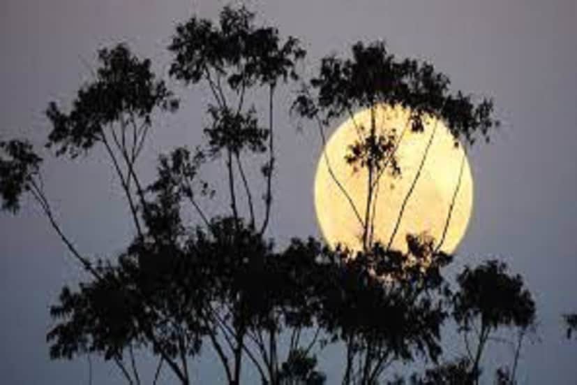 Puri Jagannath Temple Lunar Eclipse 2023 Timing: চলতি বছরের শেষ চন্দ্রগ্রহণ দৃশ্যমান হবে লক্ষ্মীপুজোর দিন। আজ ২৮ অক্টোবর মধ্যরাতে বিরল মহাজাগতিক দৃশ্য দেখা যাবে। ২৮ অক্টোবর রাতে (ইংরেজি মতে ২৯ অক্টোবর ১টা ৫ মিনিটে শুরু হবে চন্দ্রগ্রহণ। গ্রহণ শেষ হবে ২টো ২৪ মিনিটে। গ্রহণ চলবে মোট ১ ঘণ্টা ১৯ মিনিট পর্যন্ত। তবে এবারের চন্দ্রগ্রহণ পূর্ণগ্রাস নয়। এই চন্দ্রগ্রহণ আংশিক। পরবর্তী চন্দ্রগ্রহণটি ভারত থেকে দৃশ্যমান হবে ২০২৫ সালের সেপ্টেম্বর মাসে। সেটি হবে পূর্ণগ্রাস চন্দ্রগ্রহণ।