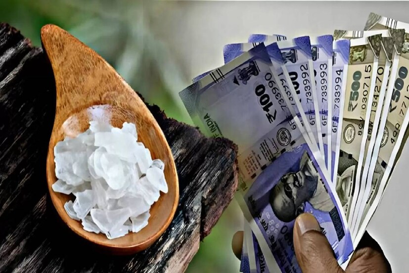 কোনও কারণে যদি অর্থনৈতিক সঙ্কটের সম্মুখীন হয়ে থাকেন, তাহলে নবরাত্রির সময় নিম্নোক্ত প্রতিকার করে দেখুন৷ একটি হলুদ কাপড় নিন, তারপরে তাতে এক জোড়া লবঙ্গ, ৫টি সুপারি ও একটি এলাচ রাখুন৷ তারপরে মা দুর্গার চরণে ঠেকিয়ে সেই পুঁটলিকে আপনার আলমারির লকারে রেখে দিন৷ এতে আপনার সংসার থেকে অভাব দূর হবে। আসবে সমৃদ্ধি৷