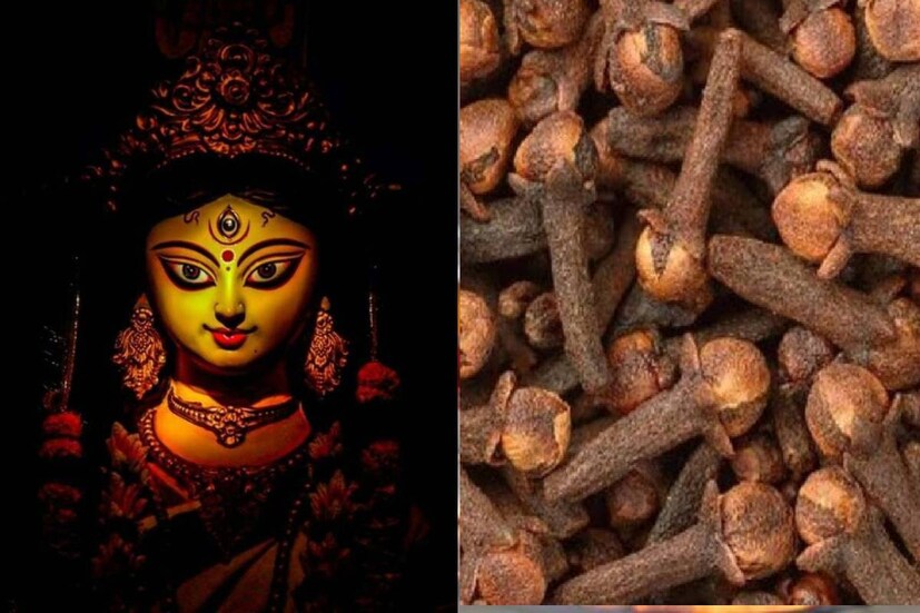 কর্মস্থলে দীর্ঘদিন ধরে কোনও সমস্যার সম্মুখীন হচ্ছেন৷? চাকরিতে বারবার বাধা আসছে? তাহলে নবরাত্রির সময় দু’টি লবঙ্গ নিয়ে মাথায় ৭ বার ঠেকান, তারপরে মা দুর্গার চরণে অর্পণ করুন৷ নবরাত্রির ন’দিন টানা এই প্রতিকার পালন করবেন৷ ফল আসবেই৷