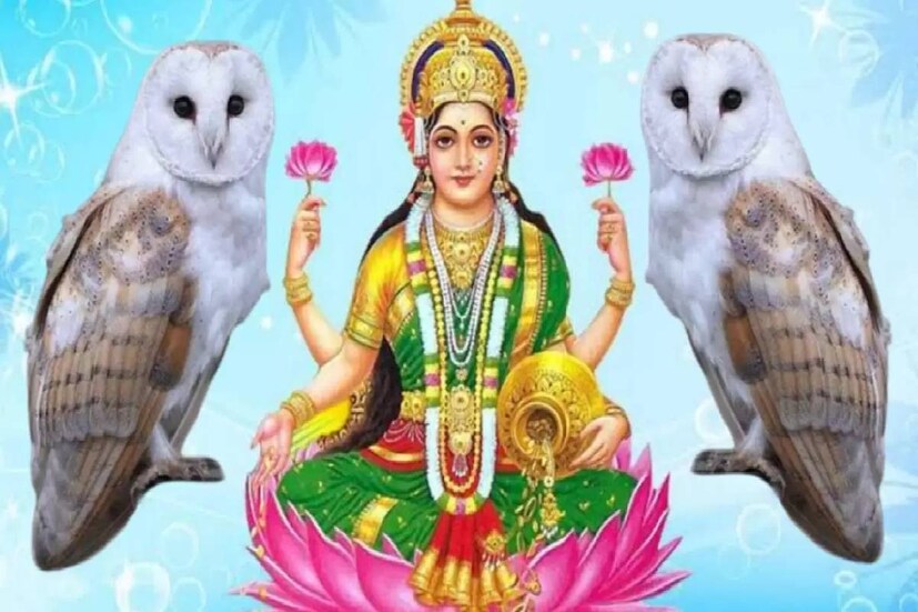 জ্যোতিষশাস্ত্র মতে, সারাজীবনে এঁরা প্রচুর ধন-সম্পদ লাভ করে থাকেন। জানুন, কোন কোন রাশির জাতকরা মা লক্ষ্মী প্রিয় হন এবং ছন্মছকে ধনযোগ থাকলে, কারা জীবনে প্রচুর ধন সম্পদ লাভ করেন।