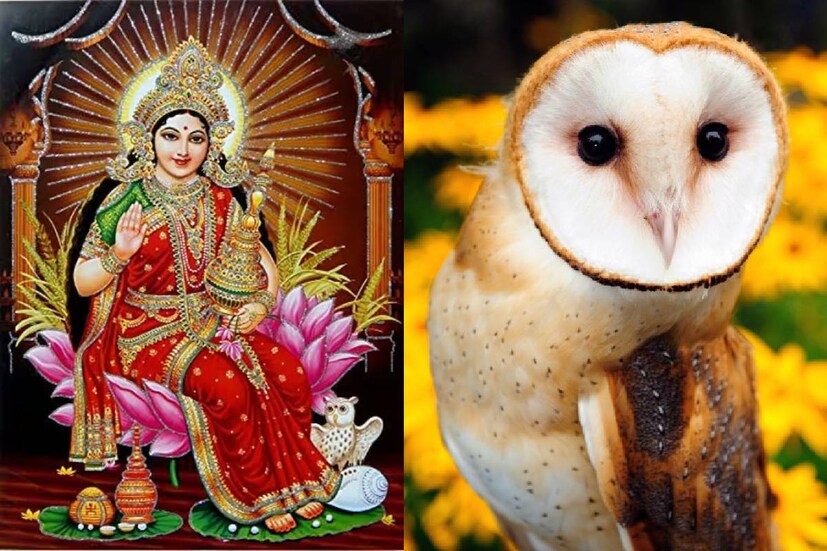 সম্পদ এবং সমৃদ্ধির অধিষ্ঠাত্রী দেবী মা লক্ষ্মী৷ মা লক্ষ্মীকে খুশি করার নানা উপায়ের কথা বলা রয়েছে জ্যোতিষশাস্ত্রে। অনেকসময় অনেকের জন্মছকে ধনযোগ থাকলে সেই জাতক মা লক্ষ্মীর অত্যন্ত প্রিয় হন বলে জানান জ্যোতিষ বিশেষজ্ঞেরা।