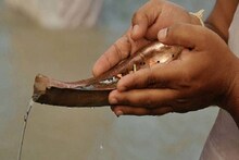 মহালয়ায় পূর্ণগ্রাস সূর্যগ্রহণ! তর্পণ কি করা যাবে? জানুন বিশেষজ্ঞের মত