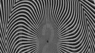 দুর্ধর্ষ এই অপটিক্যাল ইলিউশনে লুকিয়ে একটা নম্বর, সবাই দেখছেন সবার চেয়ে আলাদা, আপনি কী পেলেন?