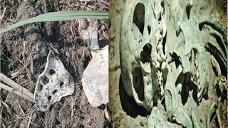 উদ্ধার হয় মানুষের খুলি, হার, কঙ্কাল। 