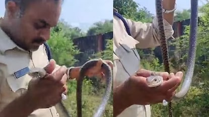 সাপের মুখ মুখ ডুবিয়ে শ্বাস ভরে দিলেন পুলিশ কনস্টেবল; মানবিকতার ভিডিও মুহূর্তে ভাইরাল সাপের মুখ মুখ ডুবিয়ে শ্বাস ভরে দিলেন পুলিশ কনস্টেবল; মানবিকতার ভিডিও মুহূর্তে ভাইরাল (Image: X/@Anurag_Dwary) সাপের মুখ মুখ ডুবিয়ে শ্বাস ভরে দিলেন পুলিশ কনস্টেবল; মানবিকতার ভিডিও মুহূর্তে ভাইরাল সাপের মুখ মুখ ডুবিয়ে শ্বাস ভরে দিলেন পুলিশ কনস্টেবল; মানবিকতার ভিডিও মুহূর্তে ভাইরাল (Image: X/@Anurag_Dwary)