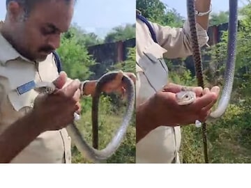 সাপের মুখ মুখ ডুবিয়ে শ্বাস ভরে দিলেন পুলিশ কনস্টেবল; মানবিকতার ভিডিও মুহূর্তে ভাইরাল সাপের মুখ মুখ ডুবিয়ে শ্বাস ভরে দিলেন পুলিশ কনস্টেবল; মানবিকতার ভিডিও মুহূর্তে ভাইরাল (Image: X/@Anurag_Dwary)