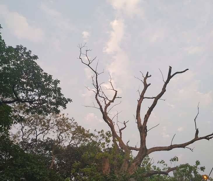 ক্রমশ কমবে বৃষ্টির পরিমাণ। কলকাতায় মেঘমুক্ত পরিষ্কার আকাশ। বাতাসে জলীয় বাষ্পের পরিমাণ ক্রমশ কমবে। আগামী দু’দিন আর্দ্রতাজনিত অস্বস্তি থাকলেও ধীরে ধীরে তা কমবে। বৃষ্টির সম্ভাবনা আপাতত নেই।