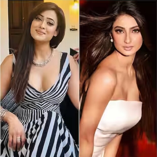 ডিভোর্সের পর মেয়ে পলককে একাই বড় করেছেন শ্বেতা তিওয়ারি। বছরের পর বছর একাই মা হিসেবে মেয়ের দায়িত্ব নেওয়ার পর, ২০১৩ সালে, অভিনেত্রী তাঁর জীবনে আবারও প্রেমের সাক্ষাৎ পান। 