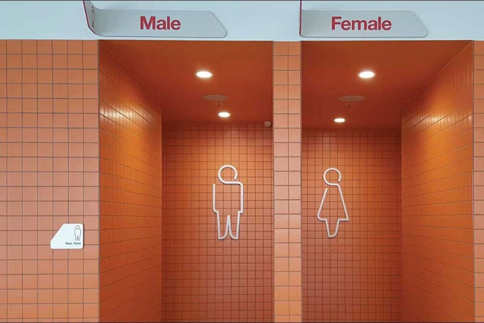 বর্ষা-নিরোধক পাবলিক টয়লেটে পরিষ্কার করার পণ্যের বিষয়ে জেনে নিন