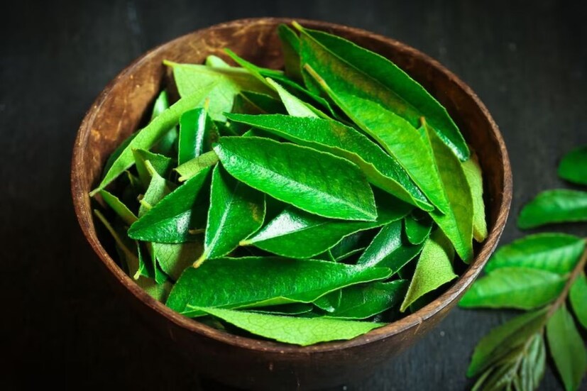 এর তাজা পাতায় রয়েছে অনন্য সুগন্ধ যা শুধু খাবারের স্বাদই বাড়ায়, স্বাস্থ্যের জন্যও অনেক উপকার করে। প্রতিদিন খালি পেটে এক গ্লাস জলের সঙ্গে ৬ থেকে ৭টি কাঁচা কারি পাতা চিবিয়ে খেলে আপনার স্বাস্থ্যের অনেক উপকার হয়। এই পাতার সেদ্ধর জল হৃদরোগ থেকেও রক্ষা করে। বদহজম, ডিএসটি, বমি, পেট ব্যথা, ডায়াবেটিস ইত্যাদি সমস্যা থেকে মুক্তি পেতেও এটি খুবই উপকারি। এছাড়াও এটি দাদ, চুলকানি, চর্মরোগে বেশ উপকারি।