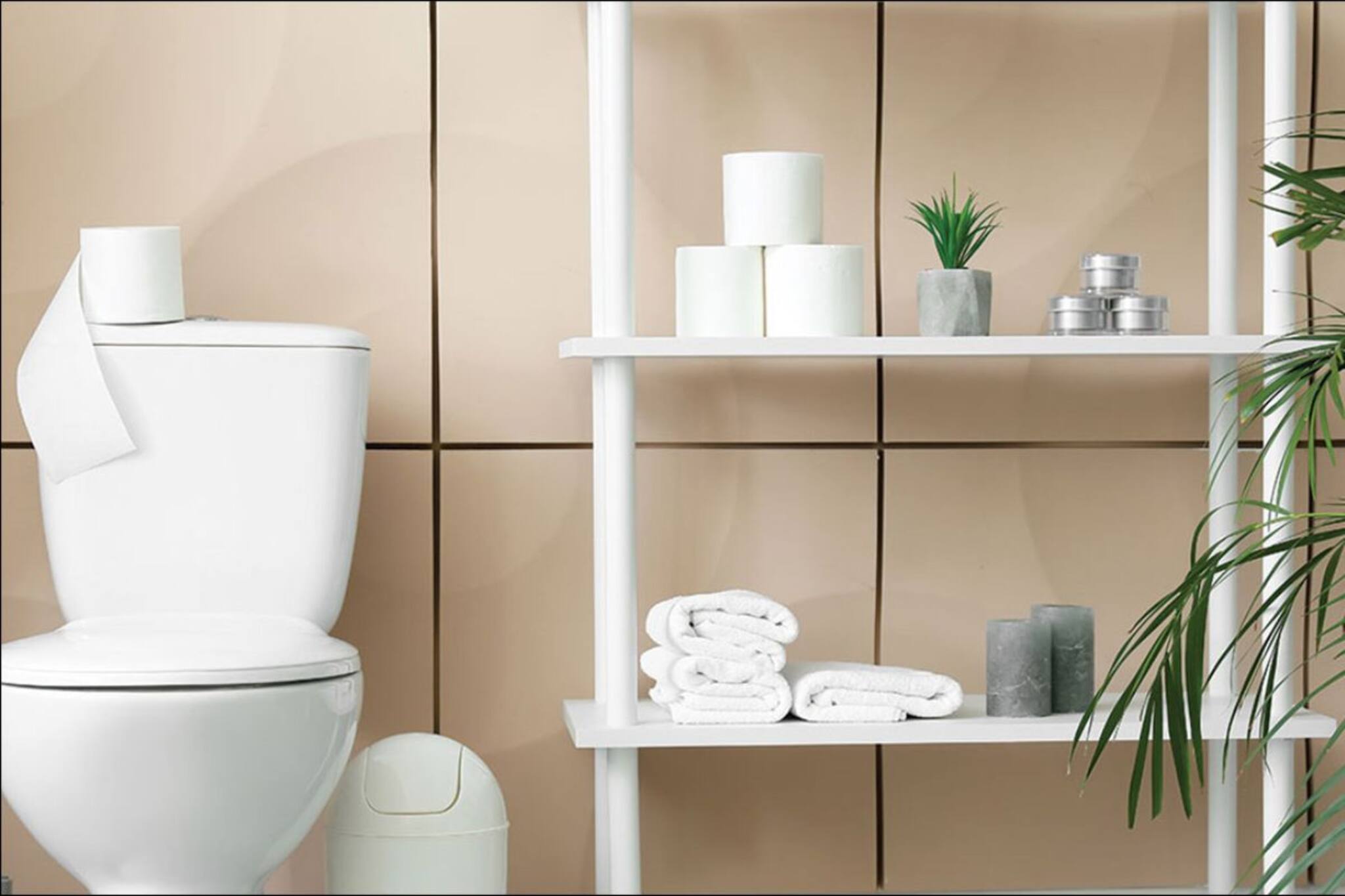 বর্ষা-নিরোধক টয়লেটে বর্জ্য পদার্থের ব্যবস্থাপনা যেভাবে করতে হবে