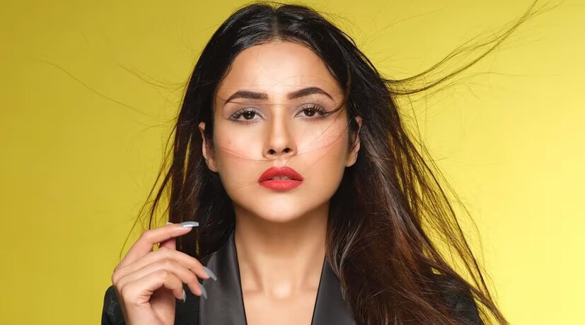 নেটিজেনদের একজন শেহনাজকে বলেন,  'পোশাক পরার কী দরকার, খুলে ফেললেই তো পারেন '৷ তার উত্তরে সকলকে অবাক করে দিয়ে শেহনাজ বলেন,  'রিয়া কাপুর বললে আমি পোশাক খুলে ফেলতেও রাজি '৷ যা প্রকাশ্যে আসতেই ভাইরাল হয়েছে৷ 