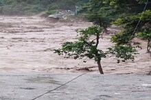 নদী না সমুদ্র? তিস্তার ভয়াল স্রোত ভাসিয়ে দিচ্ছে বাড়ি, দোকান! ভয়ঙ্কর ভিডিও