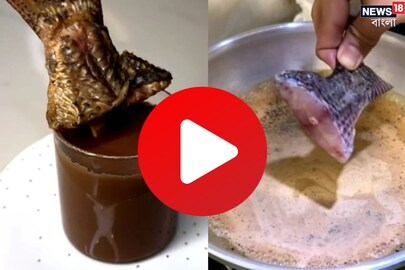 মাছের ল্যাজা দিয়ে এ কী কাণ্ড! ভাইরাল ভিডিও