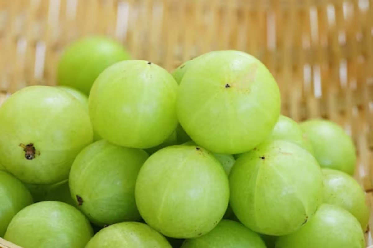 ডেঙ্গিতে প্লেটলেট কাউন্ট কমে গিয়েছে? বাঁচতে চাইলে শিগগির পাতে রাখুনএই ৫ ফল… ডেঙ্গিতে প্লেটলেট কাউন্ট কমে গিয়েছে? বাঁচতে চাইলে শিগগির পাতে রাখুনএই ৫ ফল…