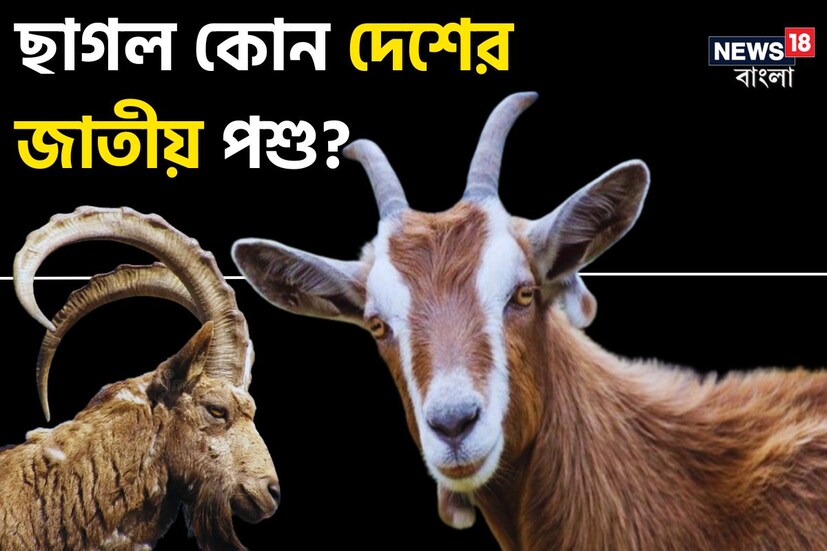 প্রতিটি দেশই নির্দিষ্ট একটি প্রাণীকে তাদের জাতীয় পশু নির্বাচন করে থাকে। বর্তমানে গরু যেমন নেপালের জাতীয় প্রাণী। কিন্তু আপনি কী জানেন ভারতের পার্শ্ববর্তী অন্যান্য দেশগুলির কোনটির জাতীয় প্রাণী কোন পশু?